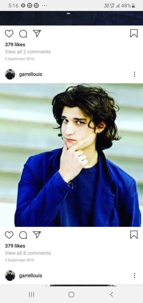 Louis Garrel French Actor